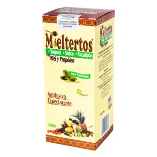MIELTERTOS JARABE 240 ML NF